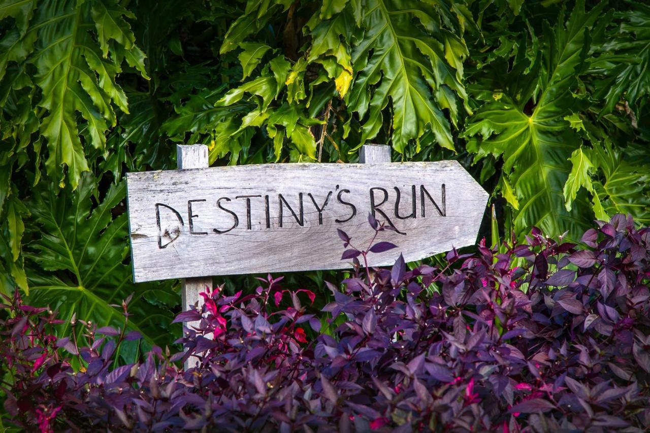 Destiny'S Run Retreat Apartment Mapleton Exterior photo